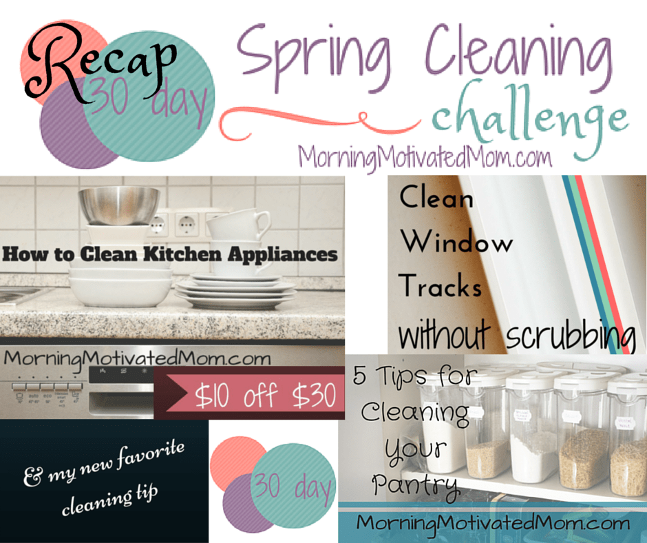 30 Day Spring Cleaning Challenge Recap