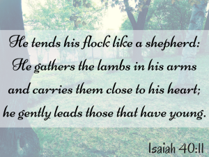 He gently leads those that have young. Isaiah 40 11