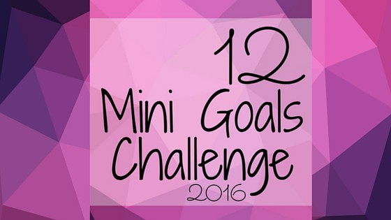 12 Mini Goals Challenge 2016