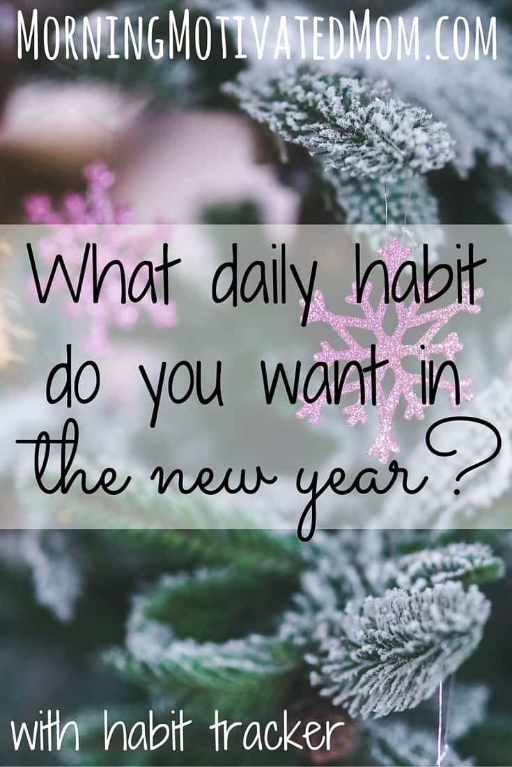 What daily habit do you want next year?