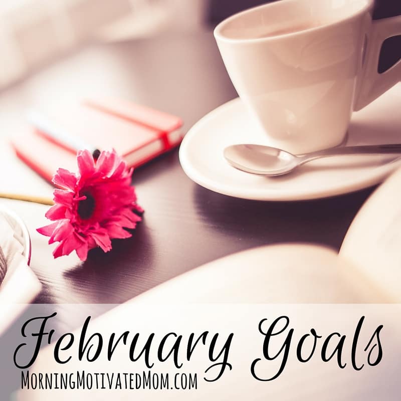 Monthly Goals: February