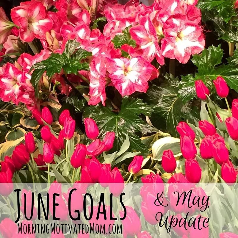Monthly Goals - June