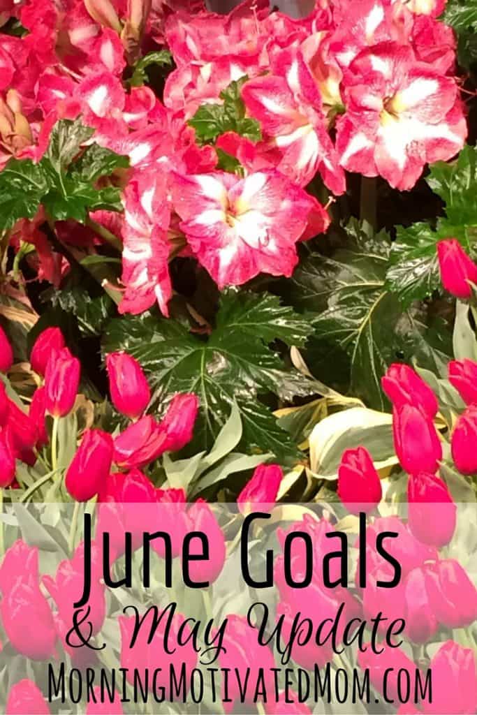 Monthly Goals – June Monthly Goalsetting and accountability.