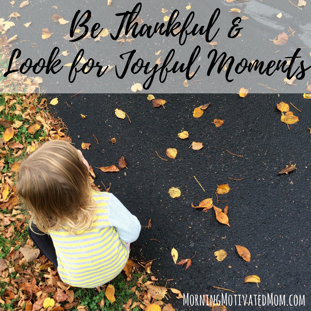 November Mini Goal: Be Thankful and Look for Joyful Moments
